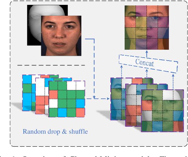 Figure 1 for Multimodal Learning with Channel-Mixing and Masked Autoencoder on Facial Action Unit Detection
