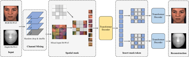 Figure 2 for Multimodal Learning with Channel-Mixing and Masked Autoencoder on Facial Action Unit Detection
