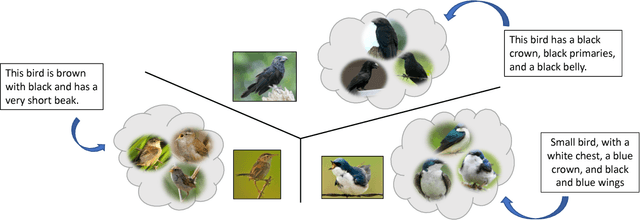 Figure 1 for Cross-modal Hallucination for Few-shot Fine-grained Recognition