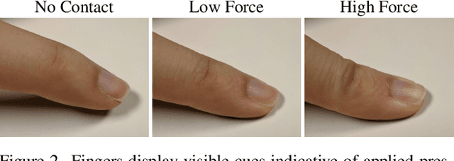 Figure 2 for PressureVision: Estimating Hand Pressure from a Single RGB Image