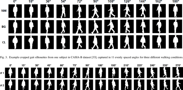 Figure 3 for Gait Recognition using Multi-Scale Partial Representation Transformation with Capsules
