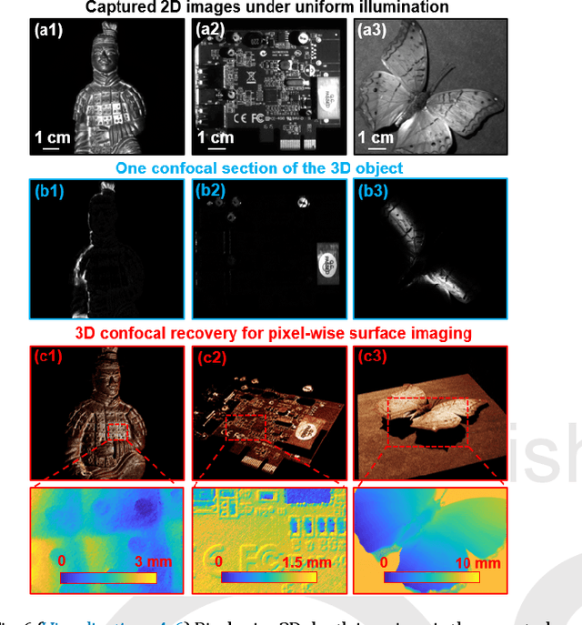 Figure 1 for Axially-shifted pattern illumination for macroscale turbidity suppression and virtual volumetric confocal imaging without axial scanning