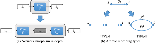 Figure 1 for Modularized Morphing of Neural Networks