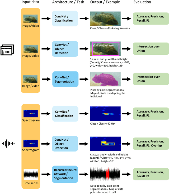 Figure 3 for Unlocking the potential of deep learning for marine ecology: overview, applications, and outlook