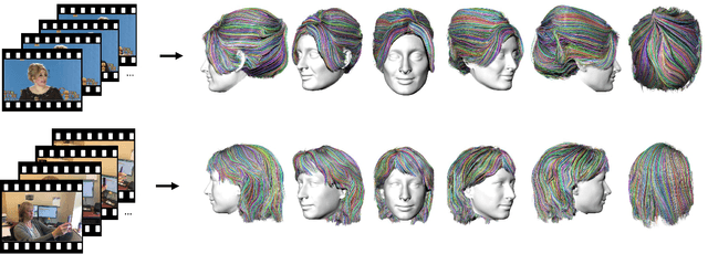 Figure 1 for Video to Fully Automatic 3D Hair Model