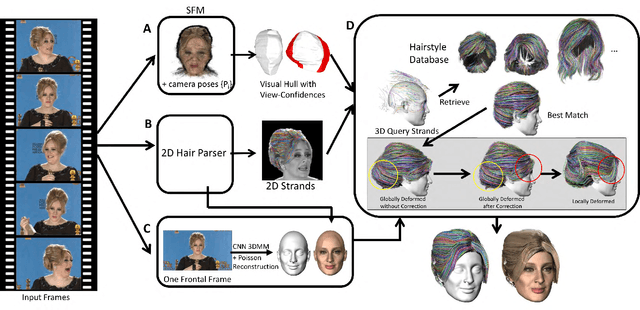 Figure 3 for Video to Fully Automatic 3D Hair Model