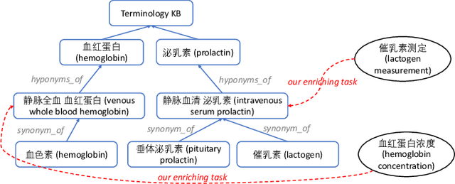 Figure 1 for Enriching Medcial Terminology Knowledge Bases via Pre-trained Language Model and Graph Convolutional Network