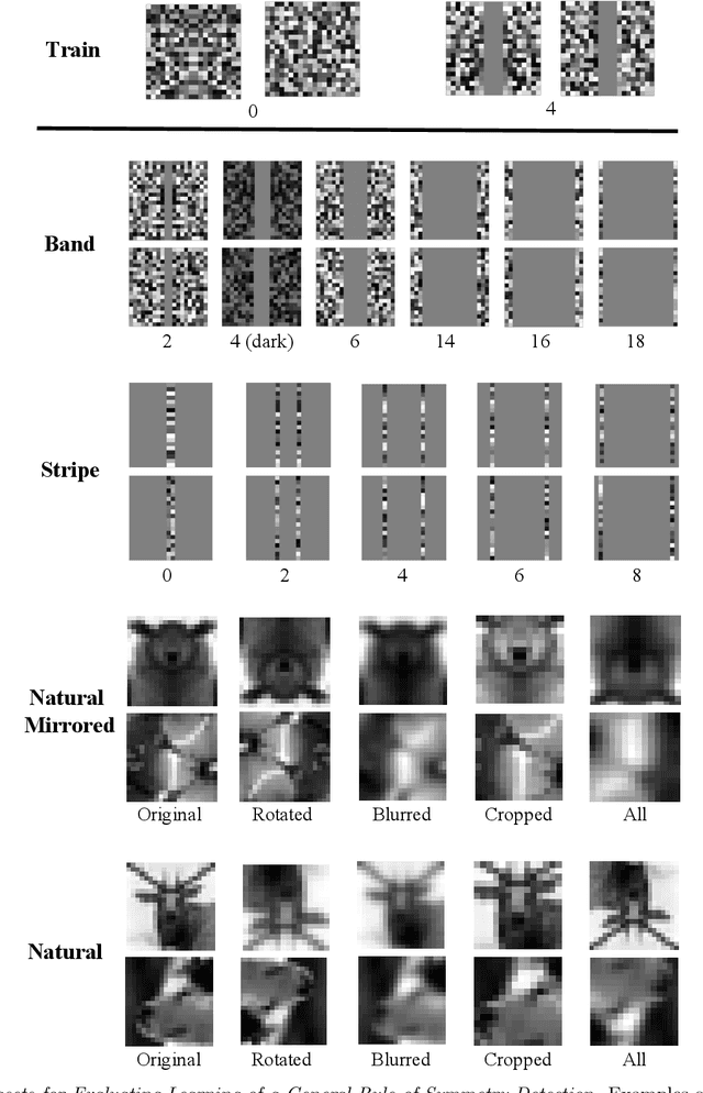 Figure 2 for Symmetry Perception by Deep Networks: Inadequacy of Feed-Forward Architectures and Improvements with Recurrent Connections