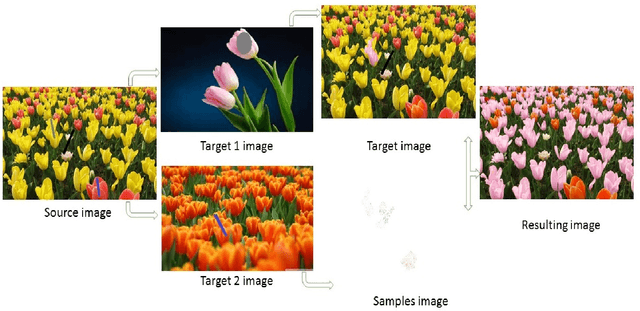 Figure 2 for Fast color transfer from multiple images