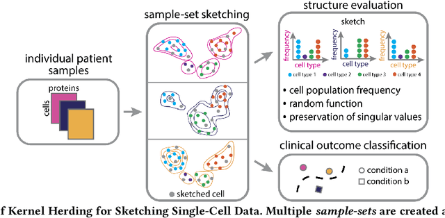 Figure 1 for Distribution-based Sketching of Single-Cell Samples