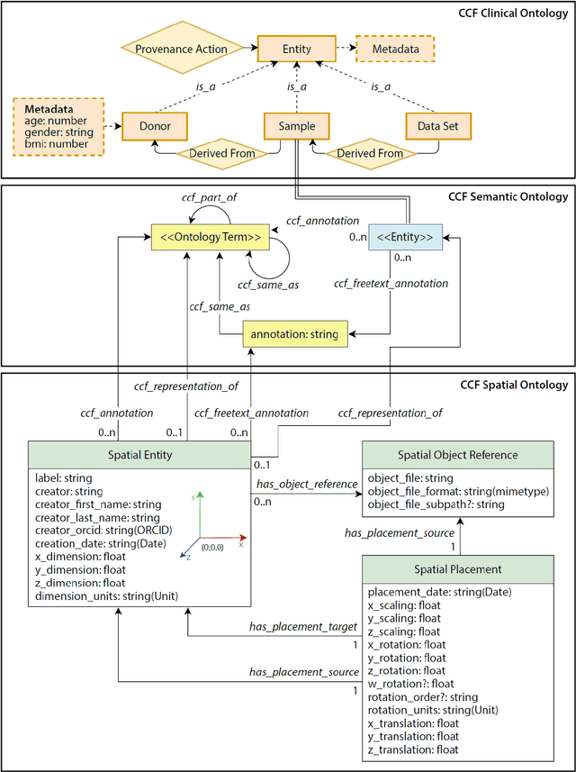 Figure 1 for Construction and Usage of a Human Body Common Coordinate Framework Comprising Clinical, Semantic, and Spatial Ontologies