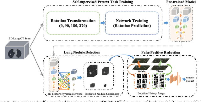 Figure 1 for Accurate and Robust Pulmonary Nodule Detection by 3D Feature Pyramid Network with Self-supervised Feature Learning