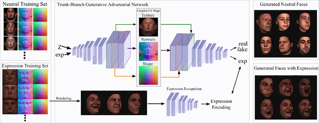 Figure 1 for Synthesizing Coupled 3D Face Modalities by Trunk-Branch Generative Adversarial Networks