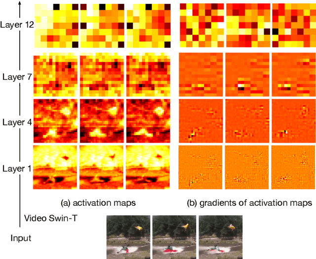 Figure 1 for Stochastic Backpropagation: A Memory Efficient Strategy for Training Video Models