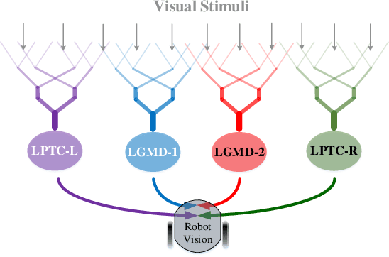 Figure 1 for Complementary Visual Neuronal Systems Model for Collision Sensing