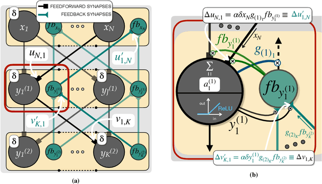 Figure 3 for A Biologically Plausible Learning Rule for Deep Learning in the Brain