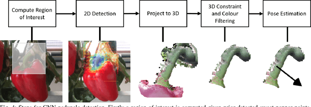 Figure 4 for In-Field Peduncle Detection of Sweet Peppers for Robotic Harvesting: a comparative study