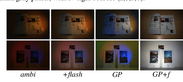 Figure 4 for Flash Lightens Gray Pixels
