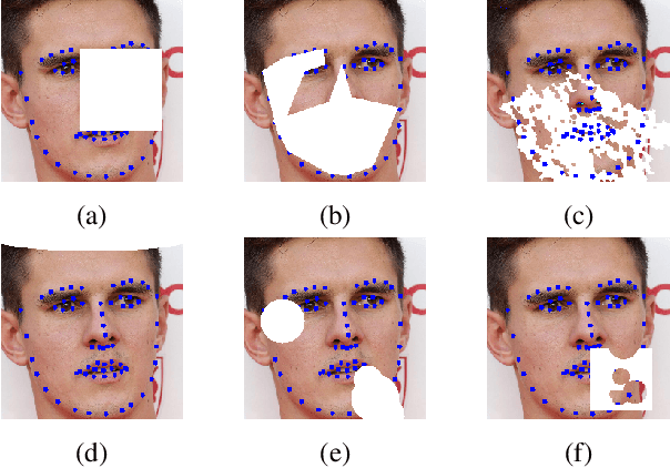 Figure 3 for Does Generative Face Completion Help Face Recognition?