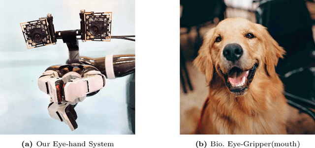 Figure 1 for Economical Precise Manipulation and Auto Eye-Hand Coordination with Binocular Visual Reinforcement Learning