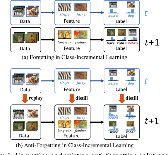 Figure 1 for Distilling Causal Effect of Data in Class-Incremental Learning