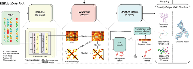 Figure 1 for E2Efold-3D: End-to-End Deep Learning Method for accurate de novo RNA 3D Structure Prediction