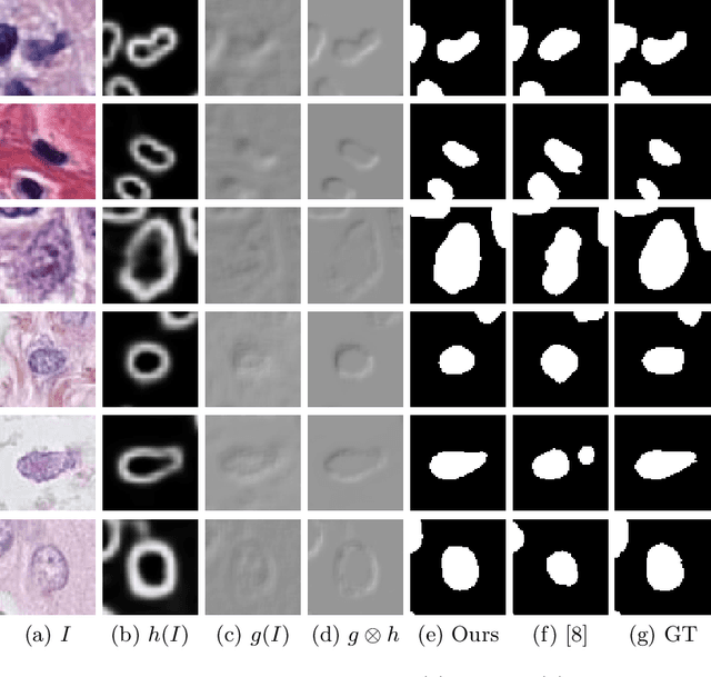 Figure 3 for PseudoEdgeNet: Nuclei Segmentation only with Point Annotations