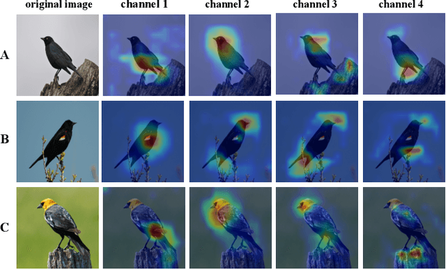 Figure 1 for Channel Interaction Networks for Fine-Grained Image Categorization