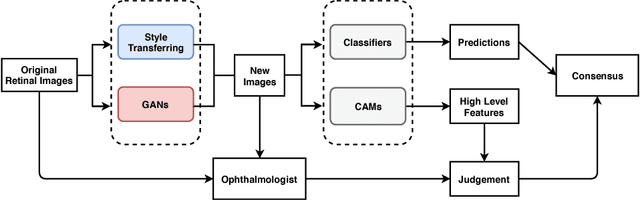 Figure 1 for Synthesizing New Retinal Symptom Images by Multiple Generative Models
