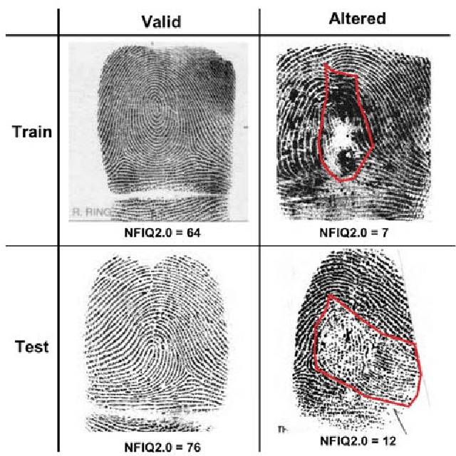 Figure 3 for Altered Fingerprints: Detection and Localization