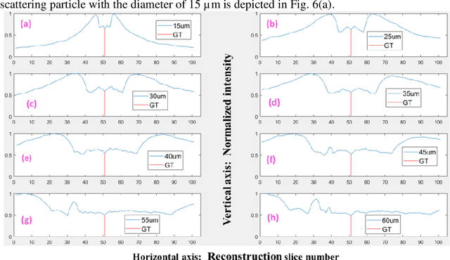 Figure 4 for Unfocused images removal of z-axis overlapping Mie scattering particles by using three-dimensional nonlinear diffusion based on digital holography