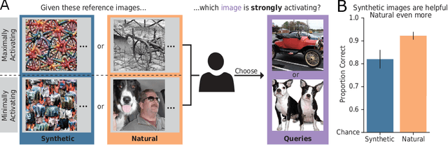 Figure 1 for Exemplary Natural Images Explain CNN Activations Better than Feature Visualizations