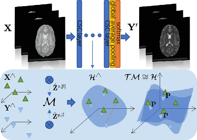 Figure 1 for Brain Image Synthesis with Unsupervised Multivariate Canonical CSC$\ell_4$Net