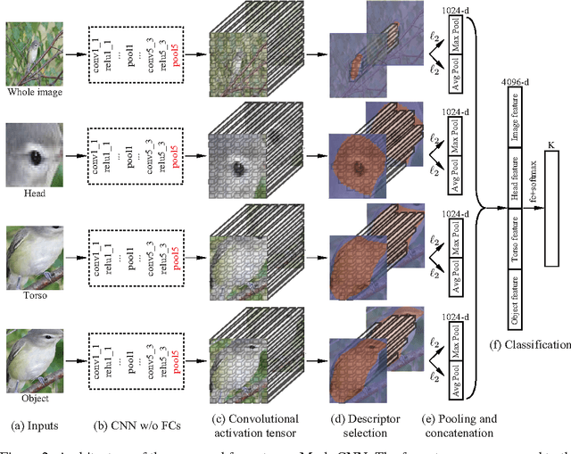 Figure 2 for Mask-CNN: Localizing Parts and Selecting Descriptors for Fine-Grained Image Recognition