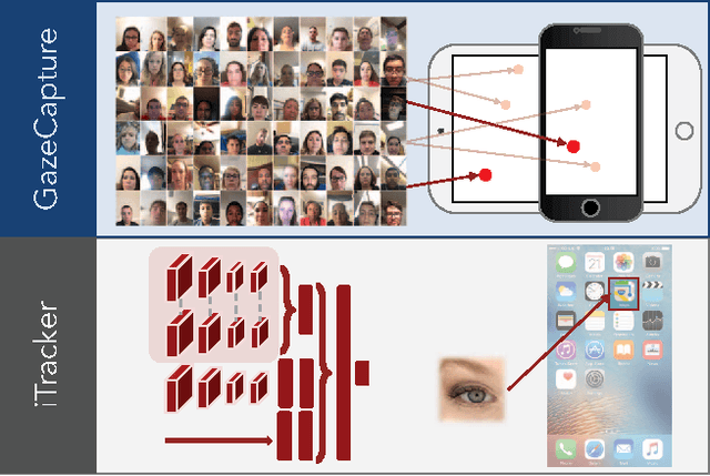 Figure 1 for Eye Tracking for Everyone
