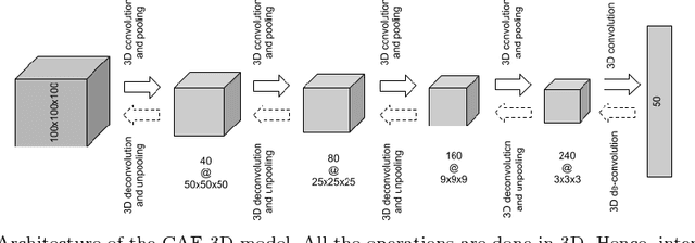 Figure 3 for Large-Scale Unsupervised Deep Representation Learning for Brain Structure