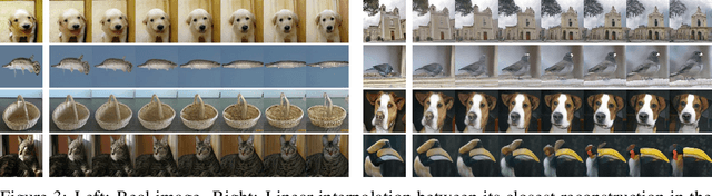 Figure 3 for Exploiting GAN Internal Capacity for High-Quality Reconstruction of Natural Images