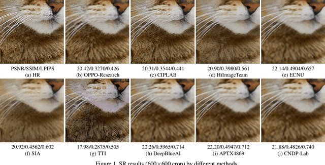 Figure 1 for NTIRE 2020 Challenge on Perceptual Extreme Super-Resolution: Methods and Results