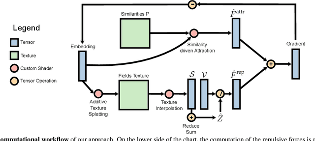 Figure 4 for Linear tSNE optimization for the Web