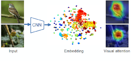 Figure 1 for Adapting Grad-CAM for Embedding Networks