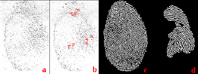 Figure 1 for ID Preserving Generative Adversarial Network for Partial Latent Fingerprint Reconstruction