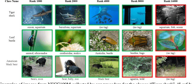 Figure 2 for Billion-scale semi-supervised learning for image classification