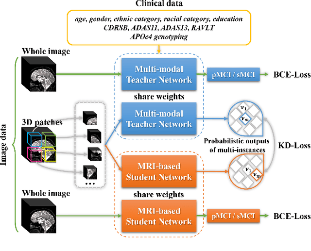 Figure 1 for MRI-based Alzheimer's disease prediction via distilling the knowledge in multi-modal data