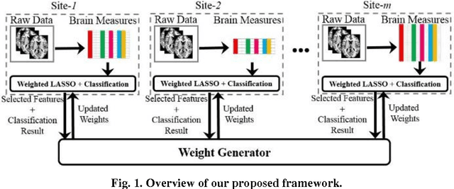 Figure 1 for Classification of Major Depressive Disorder via Multi-Site Weighted LASSO Model