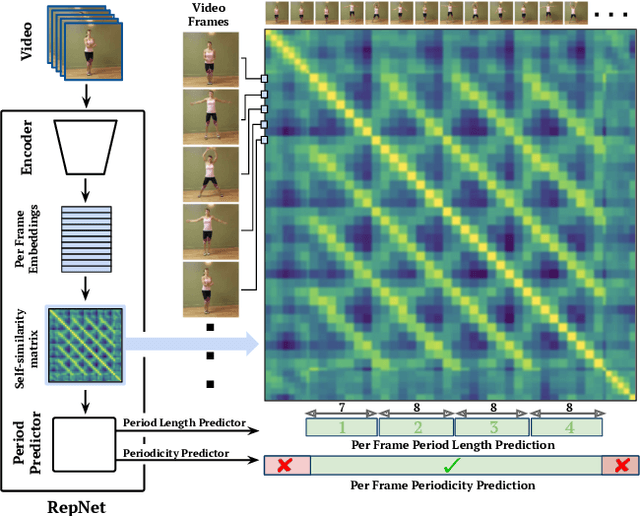 Figure 1 for Counting Out Time: Class Agnostic Video Repetition Counting in the Wild