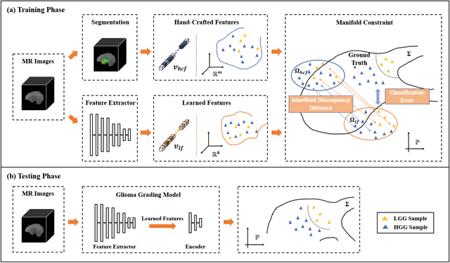 Figure 2 for Expert Knowledge-guided Geometric Representation Learning for Magnetic Resonance Imaging-based Glioma Grading