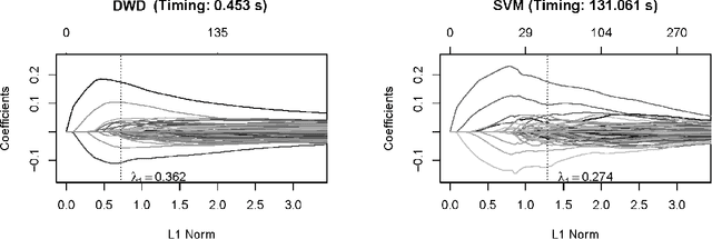 Figure 1 for Sparse Distance Weighted Discrimination