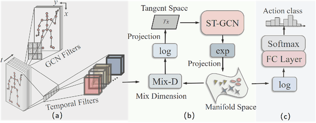 Figure 1 for Mix Dimension in Poincaré Geometry for 3D Skeleton-based Action Recognition