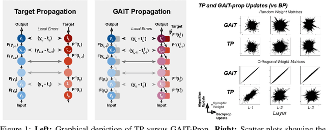 Figure 1 for GAIT-prop: A biologically plausible learning rule derived from backpropagation of error
