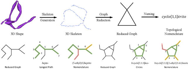 Figure 3 for A Topological Nomenclature for 3D Shape Analysis in Connectomics